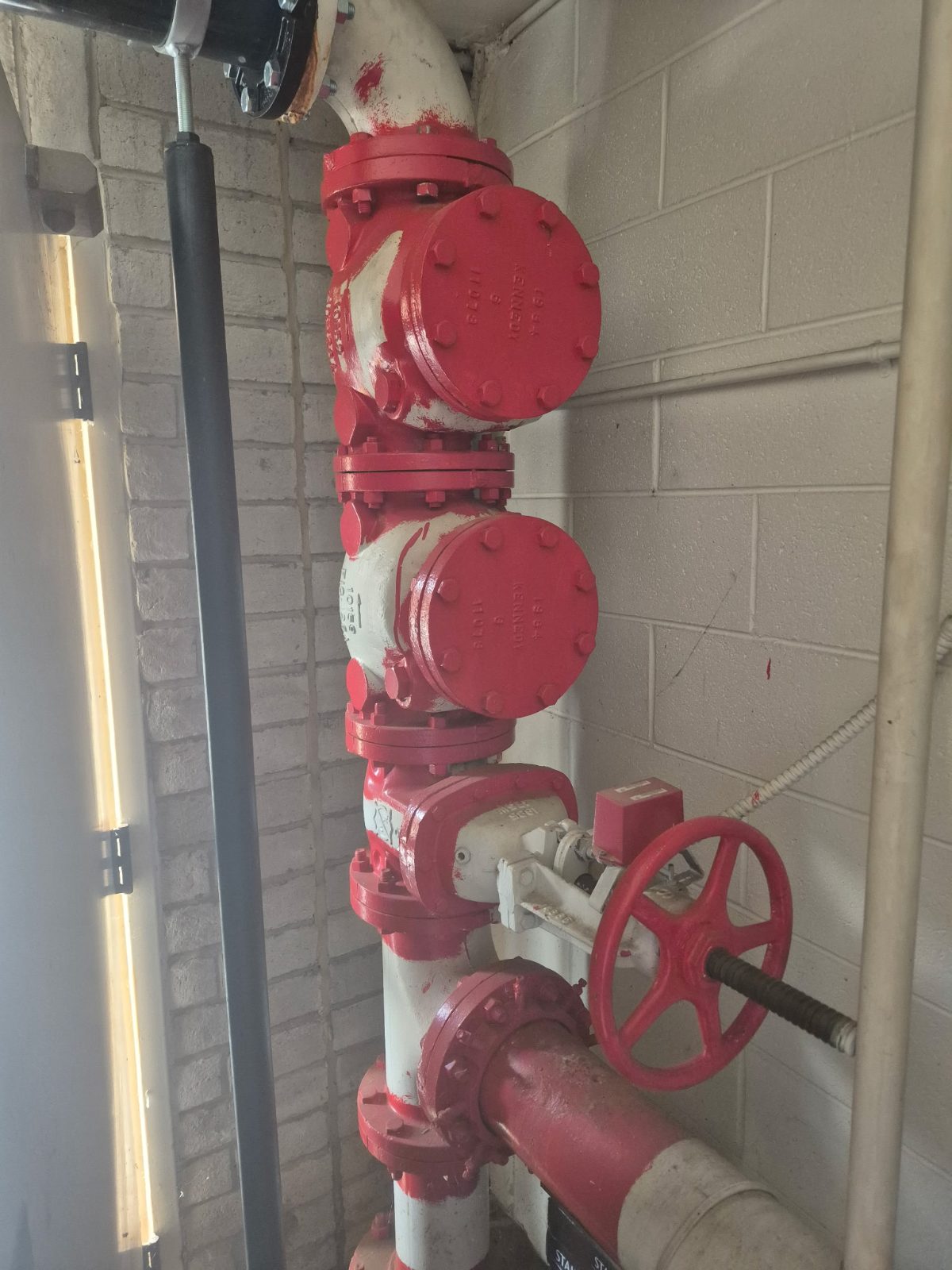 Red sprinkler riser and control valve stack against a block wall